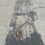 Pothole Repair at 7424 36 Av NW