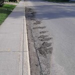 Debris on Street, Sidewalk, Boulevard at 2503 6 St NE