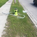 Debris on Street, Sidewalk, Boulevard at 1505 8 Av NW