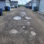 Backlane Maintenance at 132 Elgin Point Se, Calgary, Ab T2 Z 4 Z8, Canada