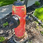 Fire Hydrant Concerns at 4003 16 A St SW