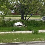 Debris on Street, Sidewalk, Boulevard at 520 Whiteland Dr NE