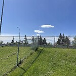 Fence or Structure Concern - City Property at Pinemont Rd NE Northeast Calgary Calgary