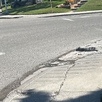 Sidewalk or Curb - Repair at 4535 46 Av SW