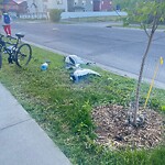 Debris on Street, Sidewalk, Boulevard at 333 Saddlelake Dr NE