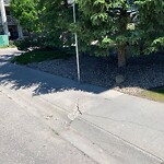 Sidewalk or Curb - Repair at 2000 Somervale Co SW