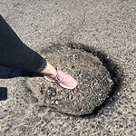 Pothole Repair at 3901 Macleod Tr SW