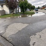 Catch Basin / Storm Drain Concerns at 48 Country Hills Wy NW
