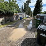 Backlane Maintenance at 3208 25 A St SW