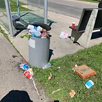 Bus Stop - Garbage Bin Concern at 258 New Brighton Me SE
