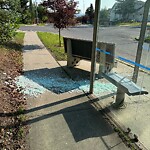 Bus Stop - Shelter Concern at 22 Edgebrook Tc NW