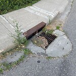Catch Basin / Storm Drain Concerns at 2433 Holly Dr SE