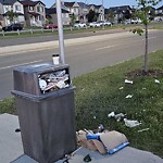 Debris on Street, Sidewalk, Boulevard at 123 Saddlehorn Cl NE