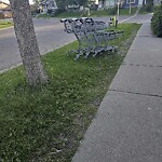 Debris on Street, Sidewalk, Boulevard at 267 Castleridge Dr NE