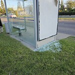 Bus Stop - Shelter Concern at 3727 Spruce Dr SW