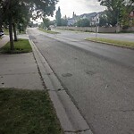 Debris on Street, Sidewalk, Boulevard at 24 Chaparral Dr SE