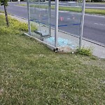 Bus Stop - Shelter Concern at 146 Bridlewood Cl SW