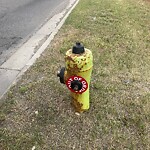 Fire Hydrant Concerns at 5950 17 Av SE