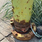 Fire Hydrant Concerns at 247 12 Av SE