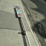 Sign on Street, Lane, Sidewalk - Repair or Replace at 101 2 St SW