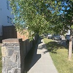 Tree Maintenance - City Owned at 103 Elgin Pt SE