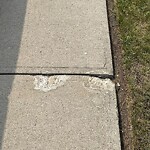 Sidewalk or Curb - Repair at 135 Mckerrell Wy SE