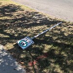 Sign on Street, Lane, Sidewalk - Repair or Replace at 336 8 Av NE