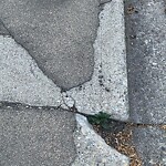 Sidewalk or Curb - Repair at 407 Thorndale Rd NW