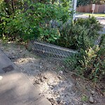 Fence or Structure Concern - City Property at 1424 75 Av SW