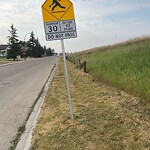 Sign on Street, Lane, Sidewalk - Repair or Replace at 51 Cedardale Rd SW