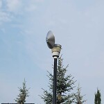 Streetlight Damage at 118 Everoak Gd SW