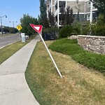 Sign on Street, Lane, Sidewalk - Repair or Replace at 16 Auburn Bay St SE