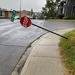 Sign on Street, Lane, Sidewalk - Repair or Replace at 1637 29 Av SW