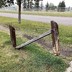 Fence or Structure Concern - City Property at 115 Macewan Meadow Cr NW