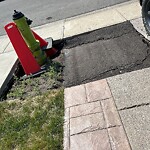 Fire Hydrant Concerns at 212 Templevale Rd NE