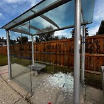 Bus Stop - Shelter Concern at 2048 38 Av SW