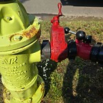 Fire Hydrant Concerns at 161 Walgrove He SE