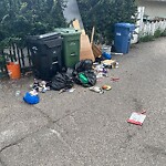 Debris on Backlane at 606 8 Av NE