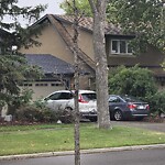 Tree Maintenance - City Owned at 12235 Bonaventure Dr Se, Calgary, Ab T2 J 3 N7, Canada