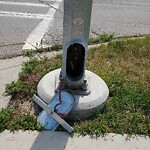 Traffic/Pedestrian Signal Repair at 539 Queensland Dr SE