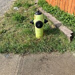 Fire Hydrant Concerns at 219 Penbrooke Cl SE