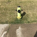 Fire Hydrant Concerns at 474 Penbrooke Cr SE