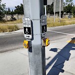 Traffic/Pedestrian Signal Repair at 6695 5 St SW