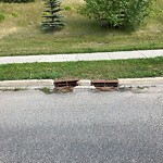 Catch Basin / Storm Drain Concerns at 355 Arbour Lake Wy NW