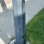 Streetlight Damage at 3 Sherwood Gv NW