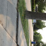 Sidewalk or Curb - Repair at 135 Hawksbrow Dr NW Hawkwood