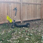 E-Scooter  - Abandoned / Parking Concerns at 1364 Berkley Dr NW