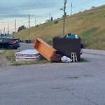 Debris on Backlane at 131 Huntington Park Gr NW