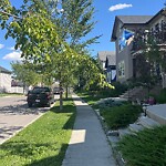 Tree Maintenance - City Owned at 155 Elgin Meadows Wy SE