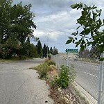 Fence or Structure Concern - City Property at 4803 46 Av NW